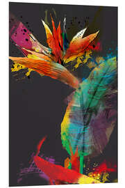 Foam board print Bird of paradise flower