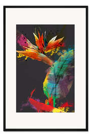 Gerahmter Kunstdruck Paradiesvogelblume - Strelitzie