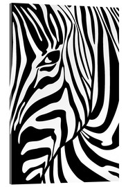 Acrylglasbild Schwarz-Weiß Zebra im Porträt - Radu Bercan
