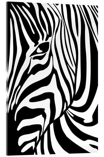 Acrylic print Black And White Zebra Portrait