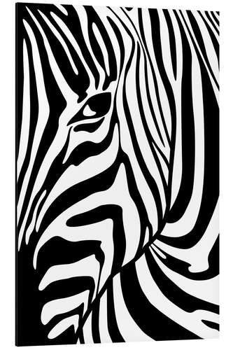 Quadro em alumínio Black And White Zebra Portrait