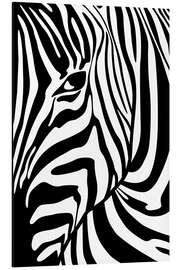 Aluminium print Black And White Zebra Portrait