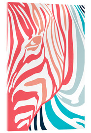 Acrylglasbild  Zebra im Porträt - Radu Bercan