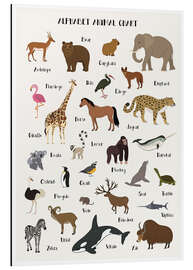 Quadro em alumínio  Alphabet animal chart - Kidz Collection