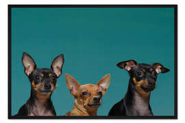 Gerahmter Kunstdruck Die Prager Rattler