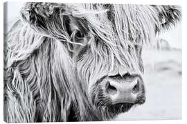 Canvas-taulu  Highland cattle - gentle look - Art Couture