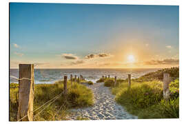 Magnettafel Weg durch die Dünen der Ostsee