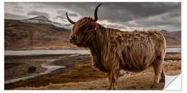 Wall sticker Highland cattle