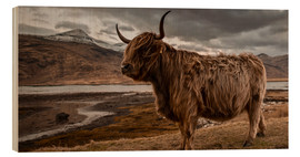 Hout print  Highland cattle - Art Couture