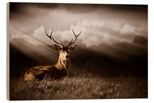 Hout print King of the forest
