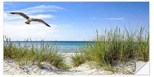 Autocolante decorativo Seagull flight over sand dunes, Baltic Sea