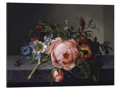 Gallery print Still Life with Rose Branch, Beetle and Bee