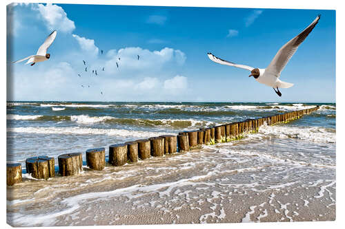 Quadro em tela Gaivotas em Sylt