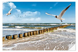 Wandsticker Möwen auf Sylt