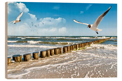 Obraz na drewnie Seagulls, Sylt