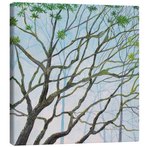 Canvas-taulu MOSSY TREE VIEW