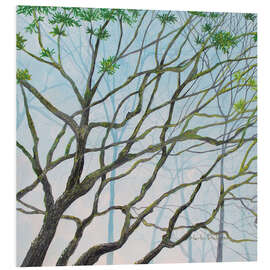 Foam board print MOSSY TREE VIEW