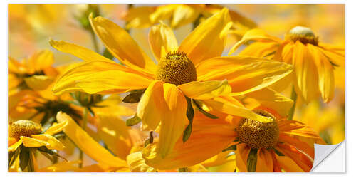Wall sticker Yellow summer meadow