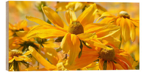 Hout print Yellow summer meadow