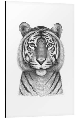 Aluminium print Tigress