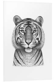 Foam board print Tigress