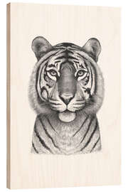 Trebilde Tigress