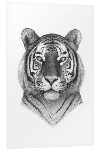 Foam board print Tiger