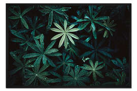 Gerahmter Kunstdruck Saftige Pflanzen