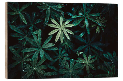 Puutaulu Juicy plants