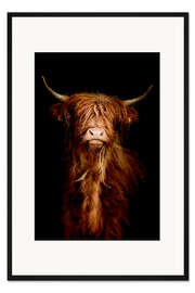 Gerahmter Kunstdruck Schottisches Hochlandrind