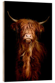 Wood print  Scottish highland cattle - Art Couture