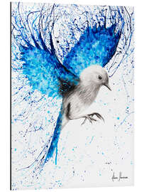 Magnettafel Mittelmeer-Flügel