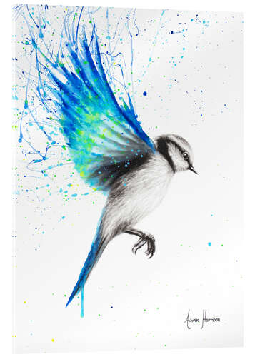 Acrylglas print Titmouse in flight