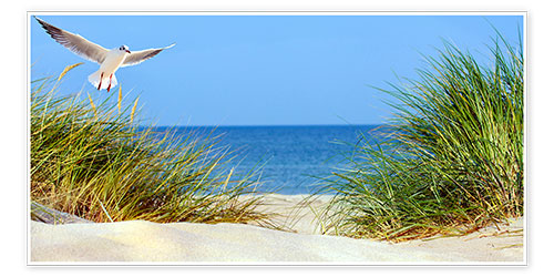 Poster Dune de sable fin, mer Baltique