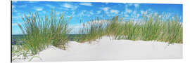 Aluminium print Panorama of Dunes, Baltic Sea