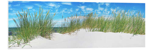 Quadro em PVC Panorama of Dunes, Baltic Sea