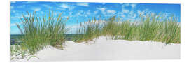 Quadro em PVC Panorama of Dunes, Baltic Sea