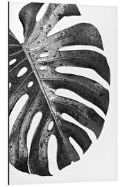 Magnettafel Schwarze Monstera 01