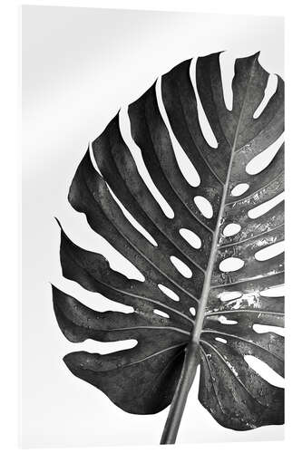 Acrylic print Black monstera 03