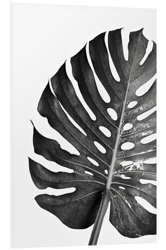 Tableau en PVC Monstera noir 03