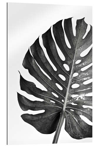 Gallery print Black monstera 03