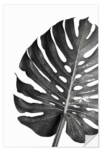 Wall sticker Black monstera 03