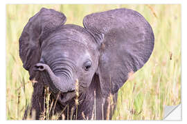 Sisustustarra Cute baby elephant