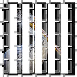 Gerahmter Kunstdruck Animal Life 4