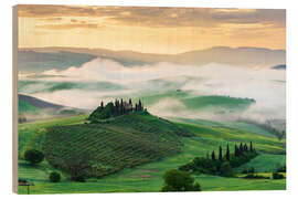 Wood print Morning mist in Tuscany