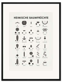 Gerahmter Kunstdruck Heimische Baumfrüchte