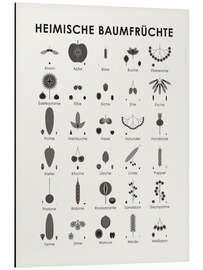 Magnettafel Heimische Baumfrüchte