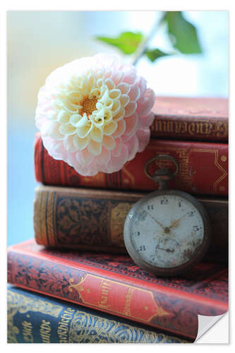 Sisustustarra Romantic book stack