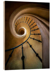 Wood print Golden spiral staircase