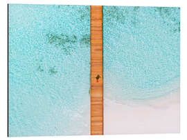 Alubild Luftaufnahme der Anlegestelle